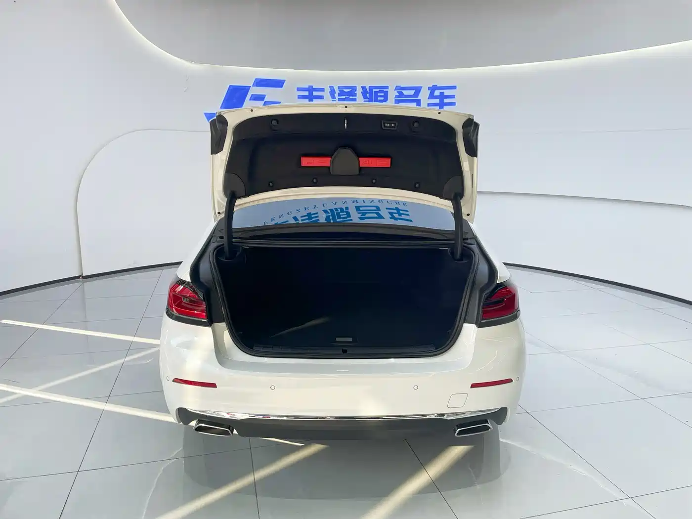 BMW 5 SERIES NEW ENERGY