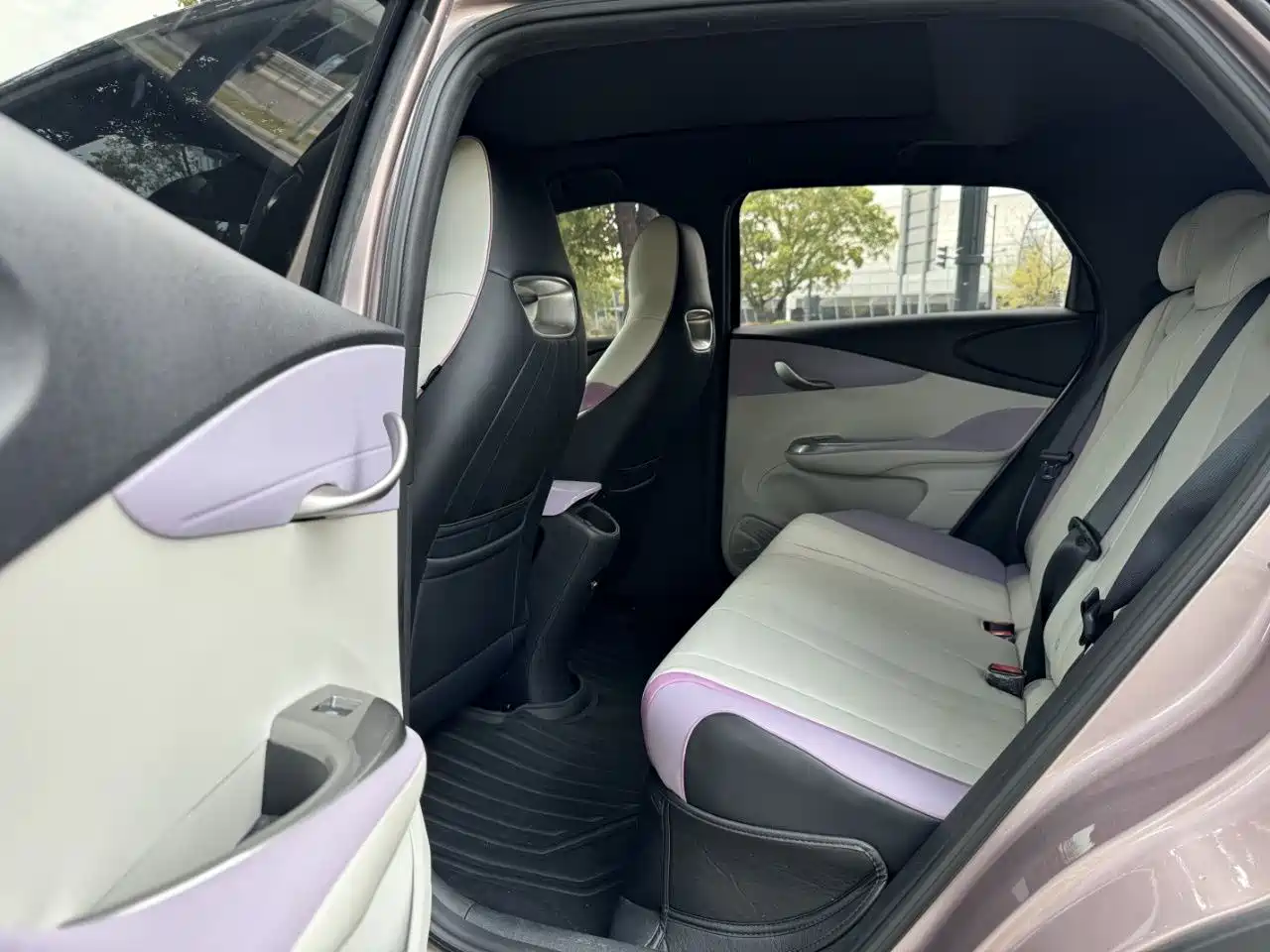 BYD Dolphin 2021 401km Knight Edition фото 8