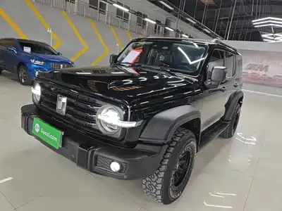 Tank 300