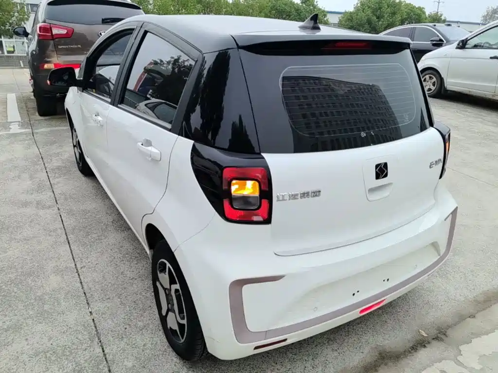 Sehol Flower Fairy 2021 2021 Jimei Edition 302km Luxury
