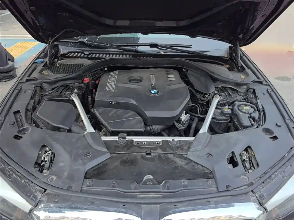 BMW 5 Series 2020 525Li Luxury Package фото 20