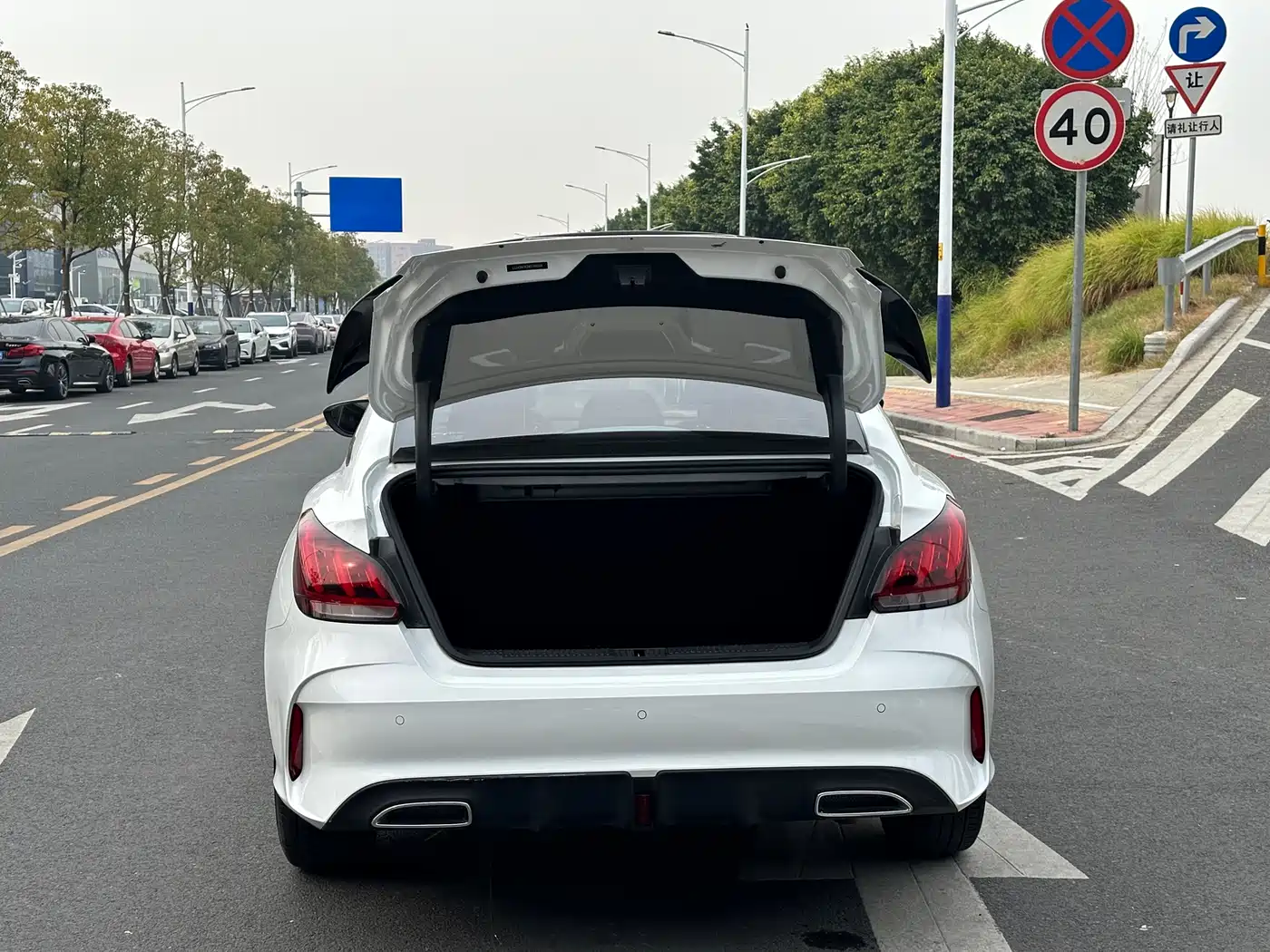 Toyota Levin 2021 Dual Engine 1.8H E-CVT Sport фото 31