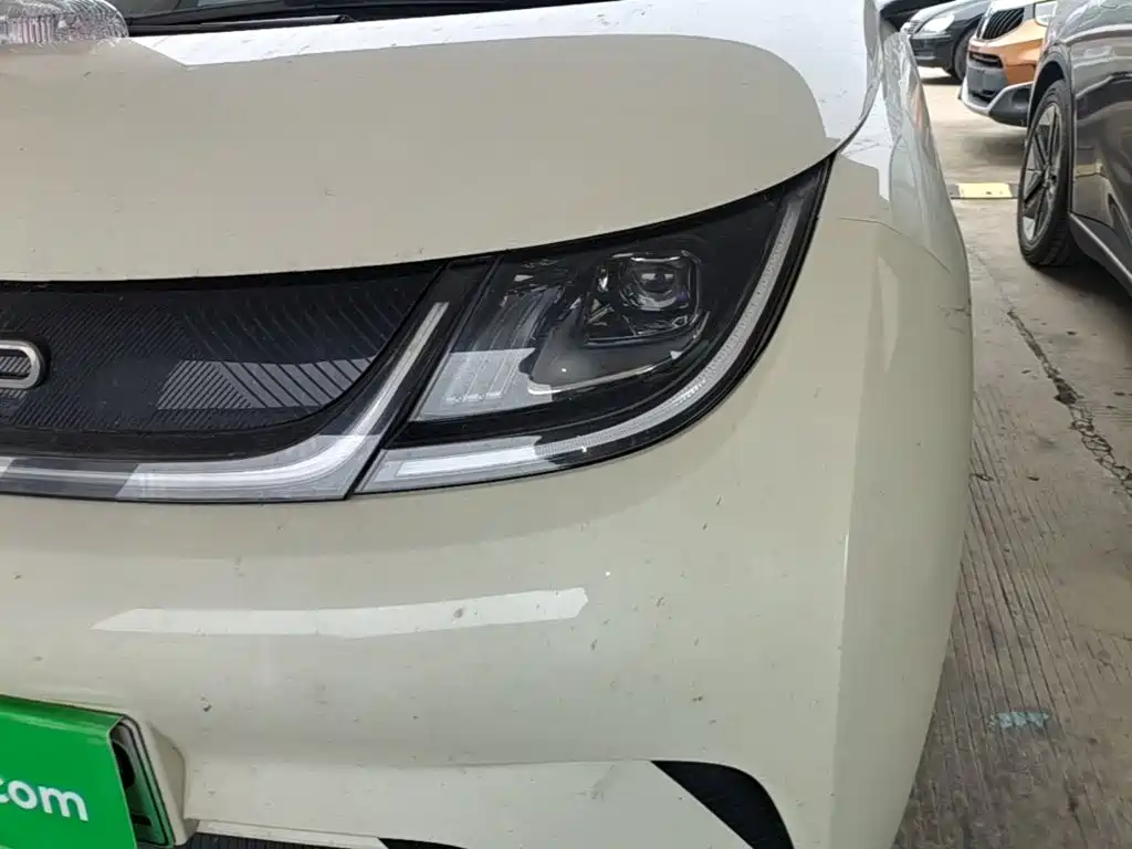 BYD Dolphin 2026 2025 420km Freedom Edition