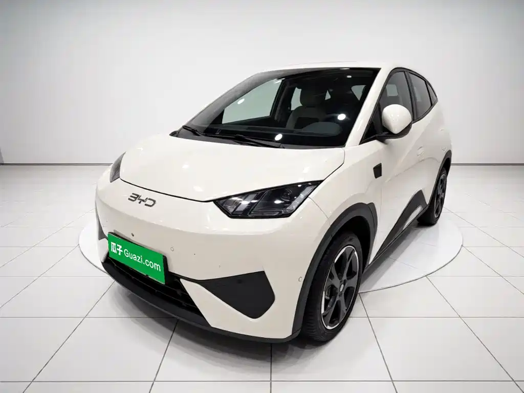 2026 BYD Seagull