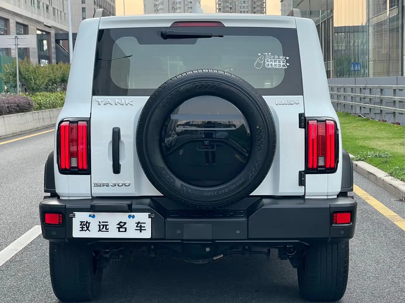 Tank 300 2021 Off-road Edition 2.0T Challenger фото 5
