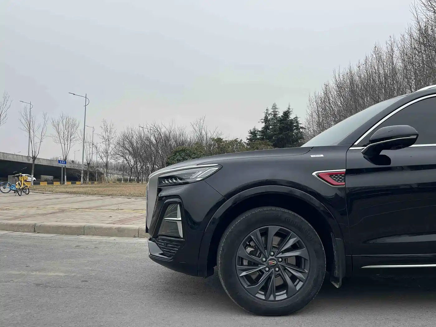 Hongqi HS5 2023 2.0T Flag Enjoy Pro Edition фото 4