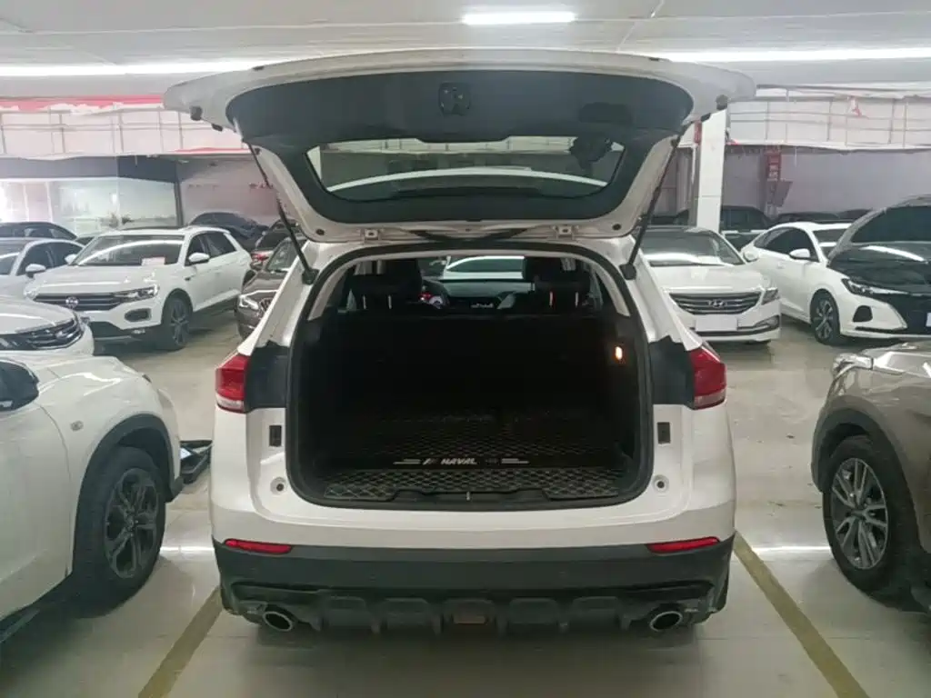 Haval H4 2020 2020 Enjoy Edition 1.5T DCT Smart