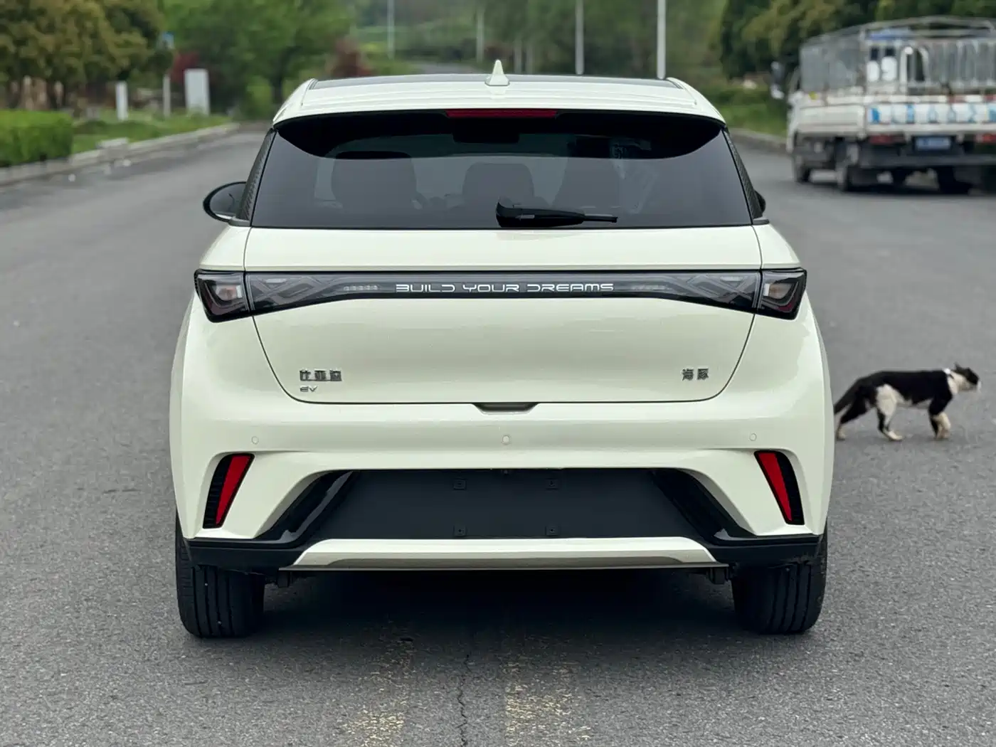 BYD Dolphin 2024 Glory Edition 420km Fashion Edition фото 15