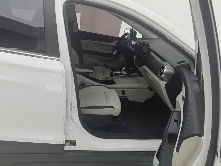 BYD Yuan Pro 2022 2021 401KM Premium Model
