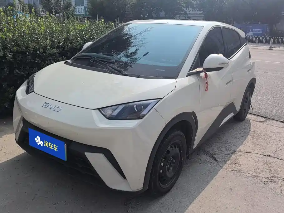 BYD Seagull 2024
