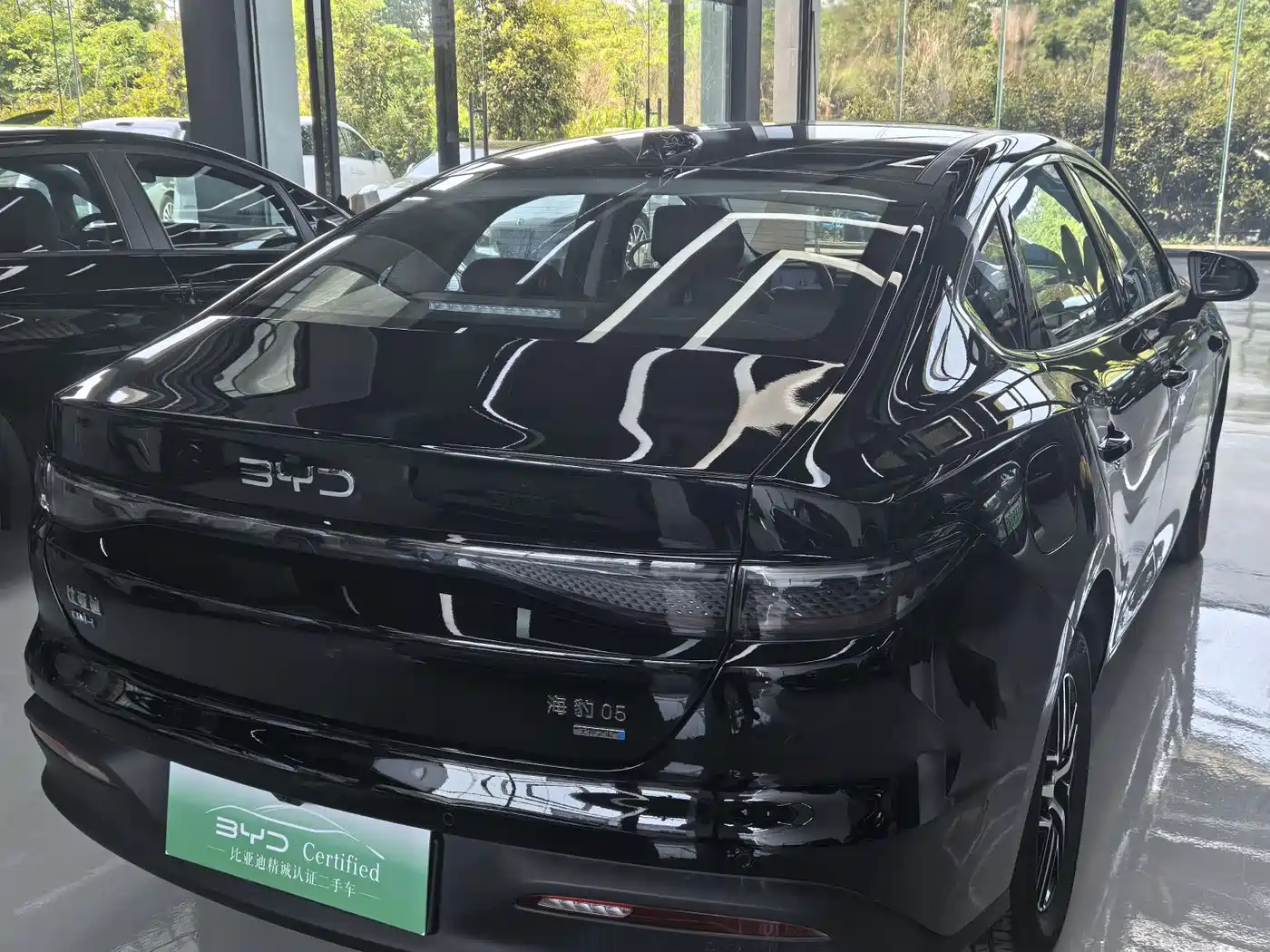 BYD Hai Bao 05 DM-i 2025 DM-i Smart Driving Edition 120KM Flagship фото 14