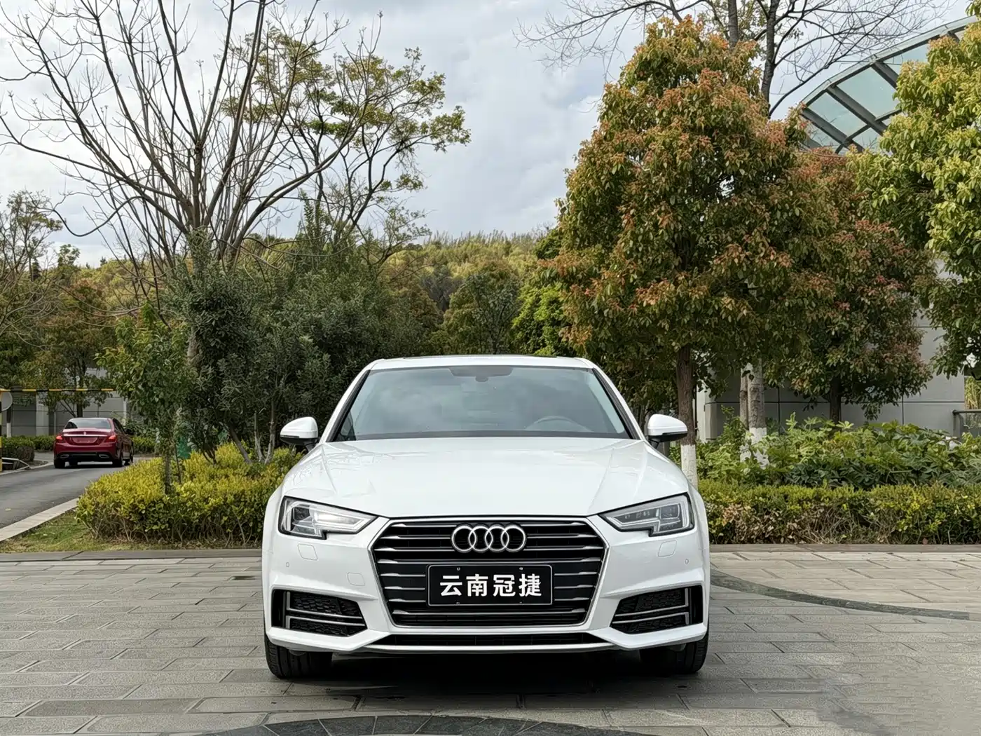 Audi A4L 2019 40 TFSI Progressive (China V) фото 2