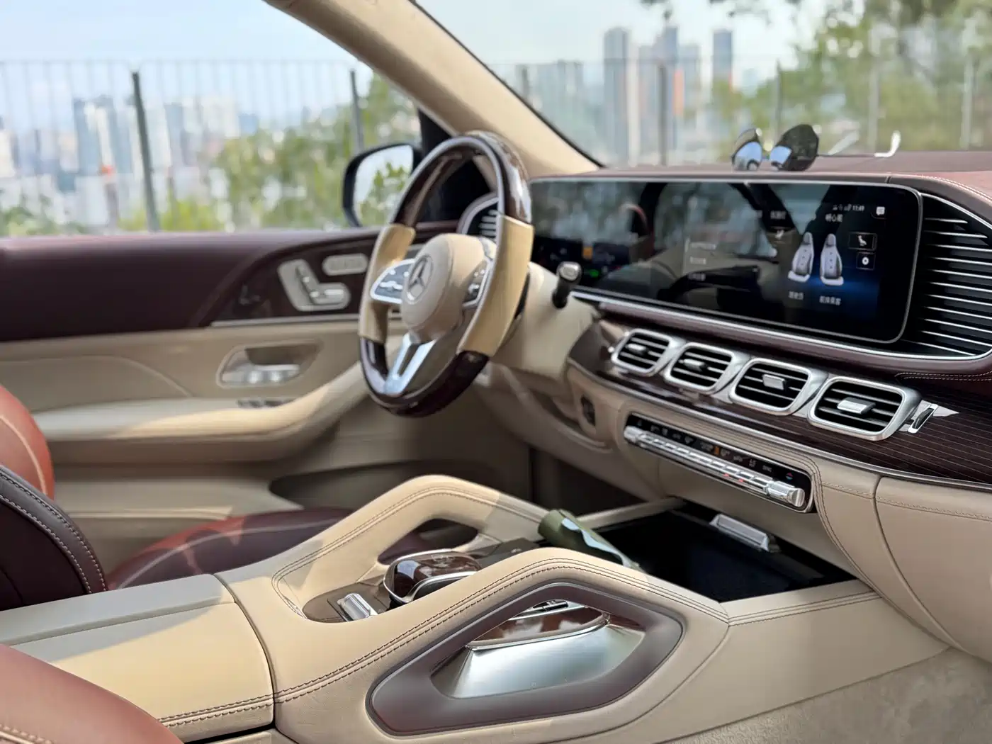 Mercedes-Benz Maybach GLS 2021 GLS 600 4MATIC Ritual Edition фото 16
