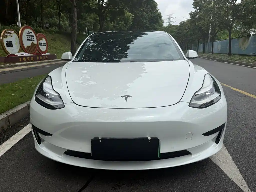 Tesla Model 3 2020 2020 Standard Range Rear-Wheel Drive Upgrade