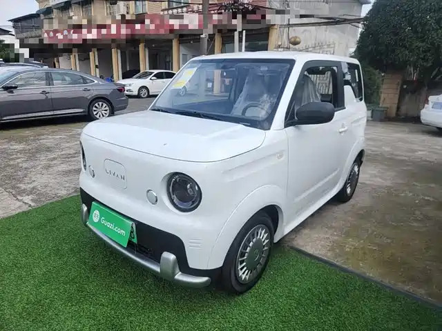  Ruilan Auto Ruilan Blue Elf 2025 Base Model