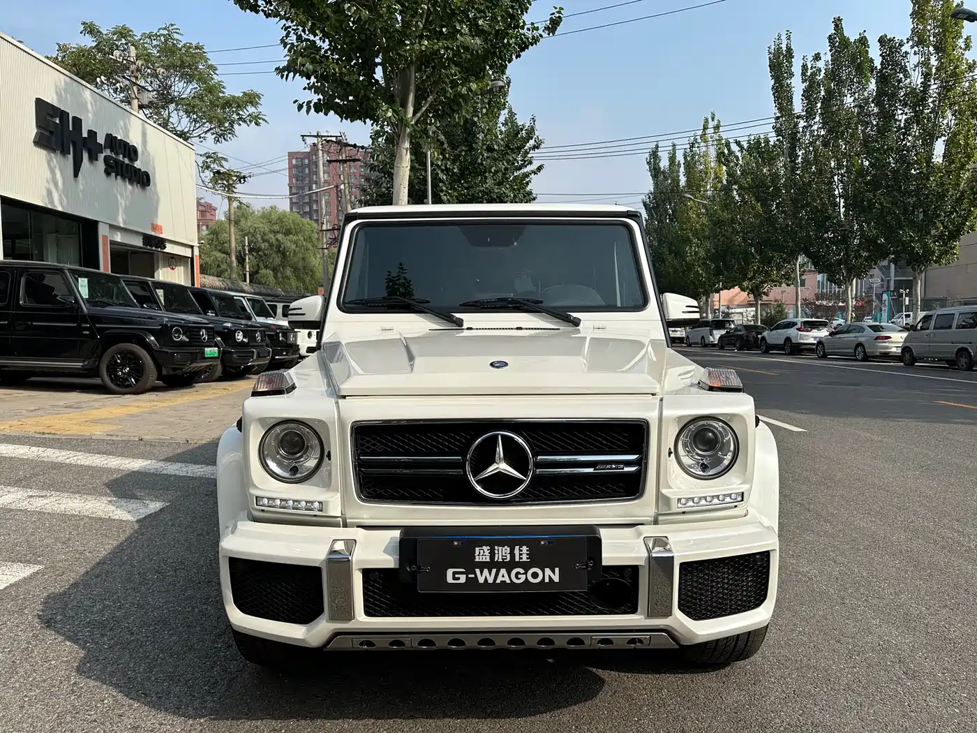 Mercedes-Benz G-Class AMG 2016 Model AMG G 63 Edition 463 фото 6