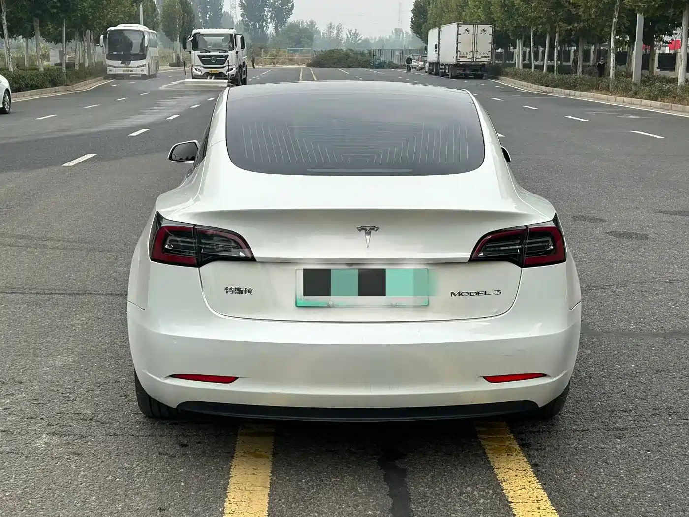 Tesla Model 3 2020 2020 Standard Range Rear-Wheel Drive Upgrade