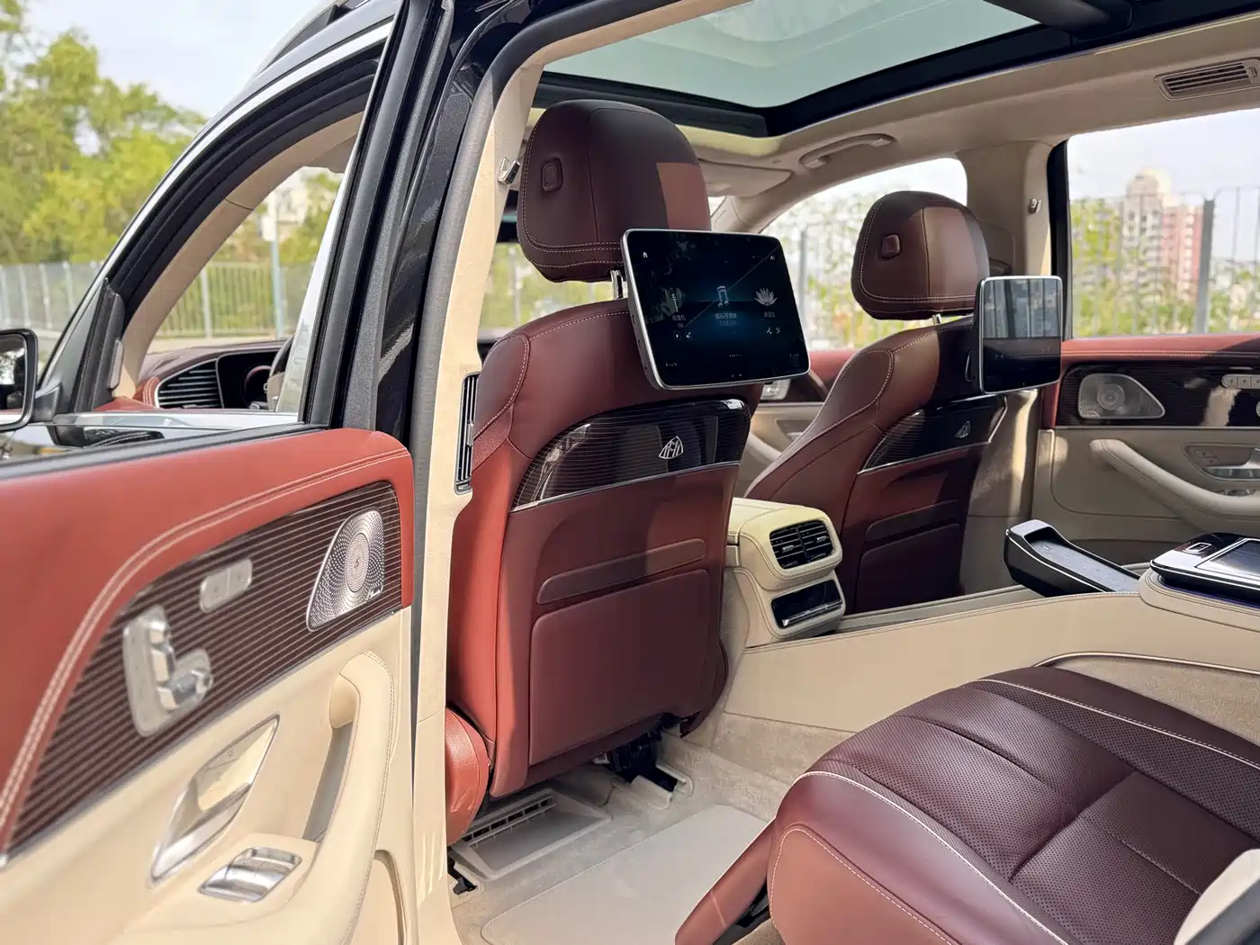 Mercedes-Benz Maybach GLS 2021 GLS 600 4MATIC Ritual Edition фото 11