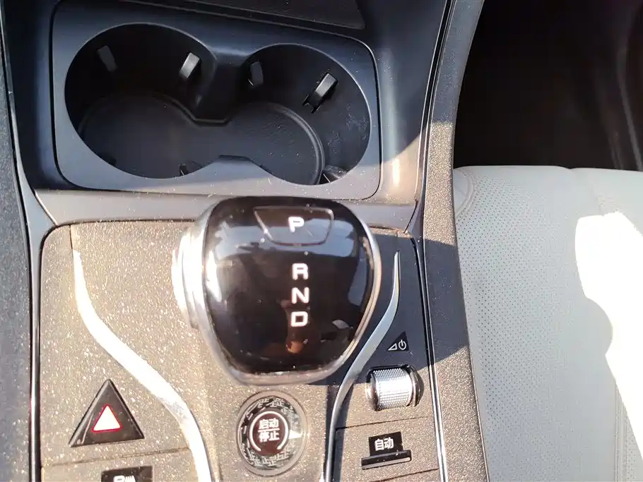 BYD Qin PLUS 2024 Glory Edition DM-i 55KM Leading фото 16