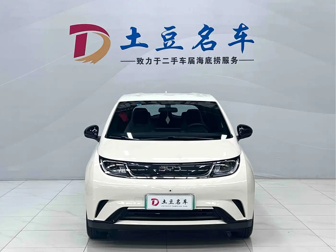 2026 BYD Dolphin