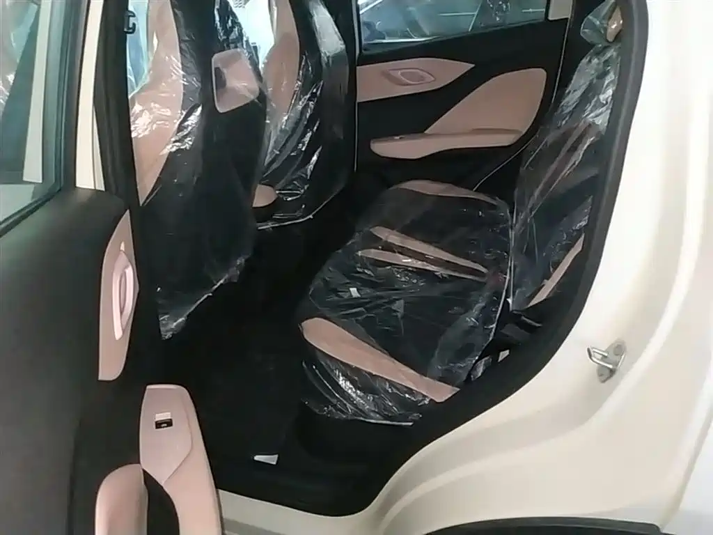 BYD Seagull 2026 2025 Smart Drive Edition 305km Vitality Version