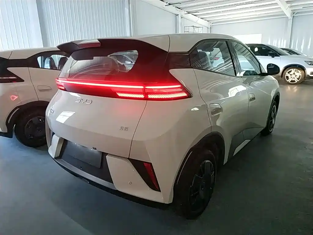 BYD Seagull 2026 2025 Smart Drive Edition 305km Vitality Version