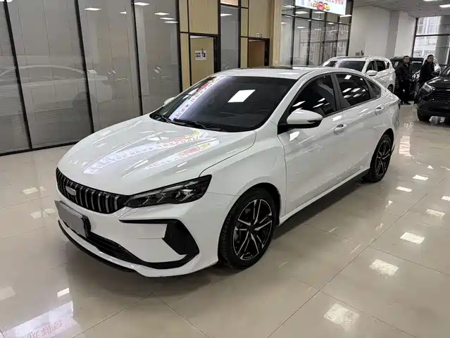 GEELY AUTOMOBILE BINRUI 2024