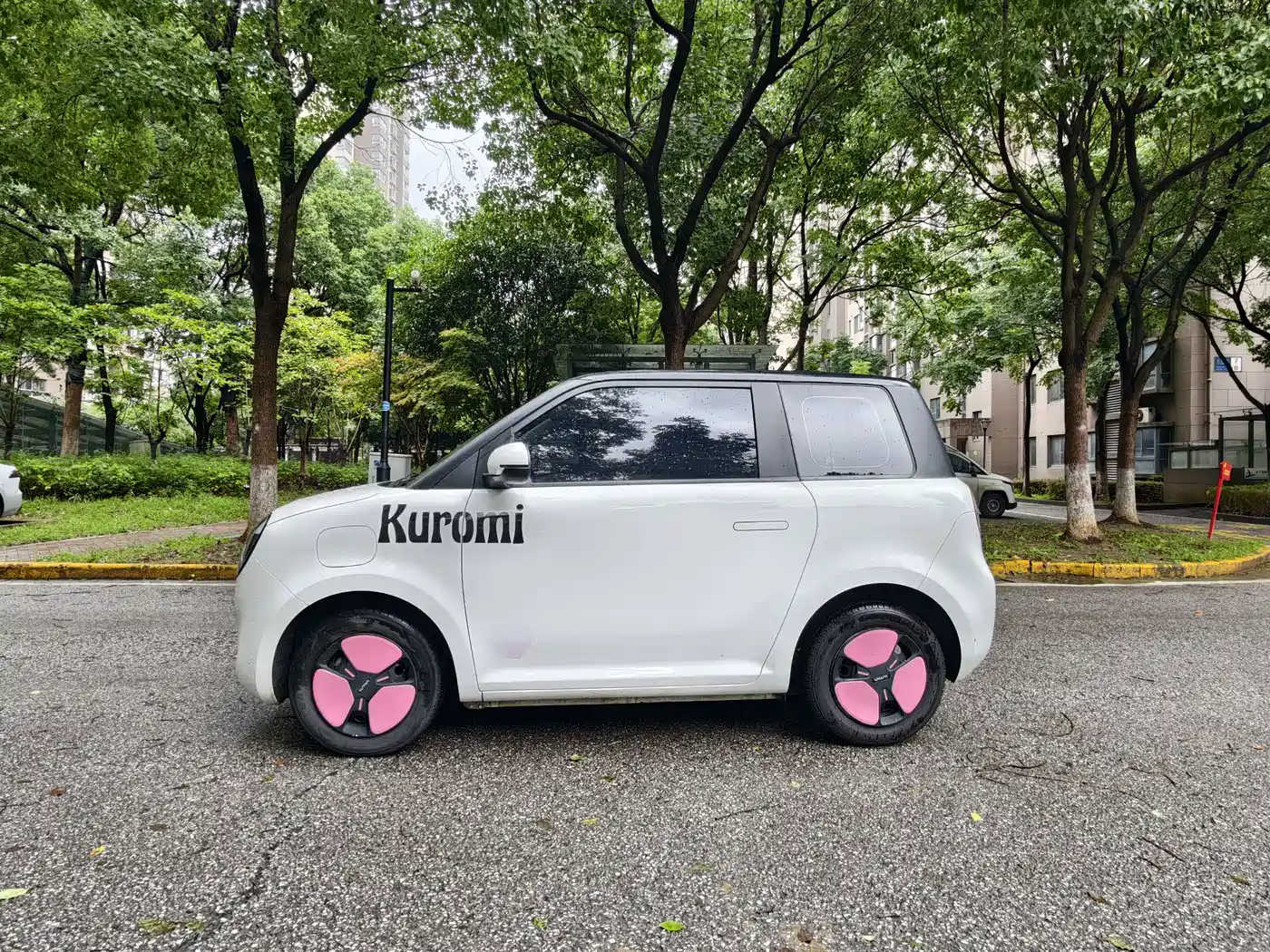 Changan Qiyuan Changan Lumin 2022 2022 155km Fresh Edition