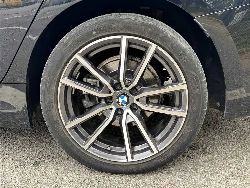 BMW 3 Series 2021 320Li M Sport Package фото 29