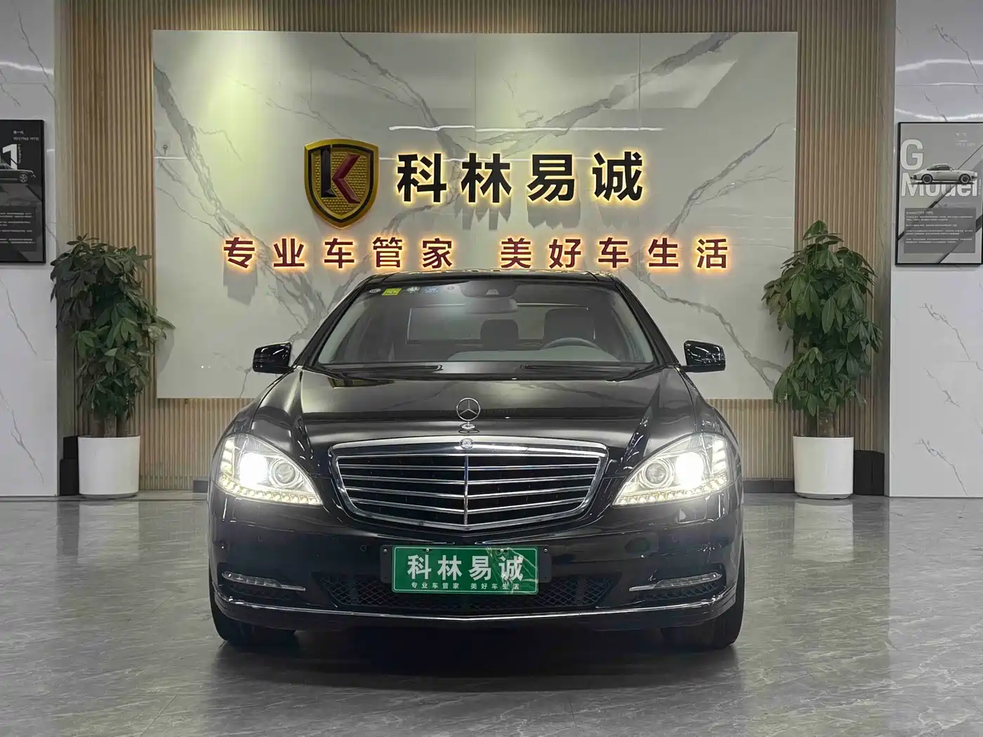 Mercedes-Benz S-Class 2010 S 300 L Luxury фото 2