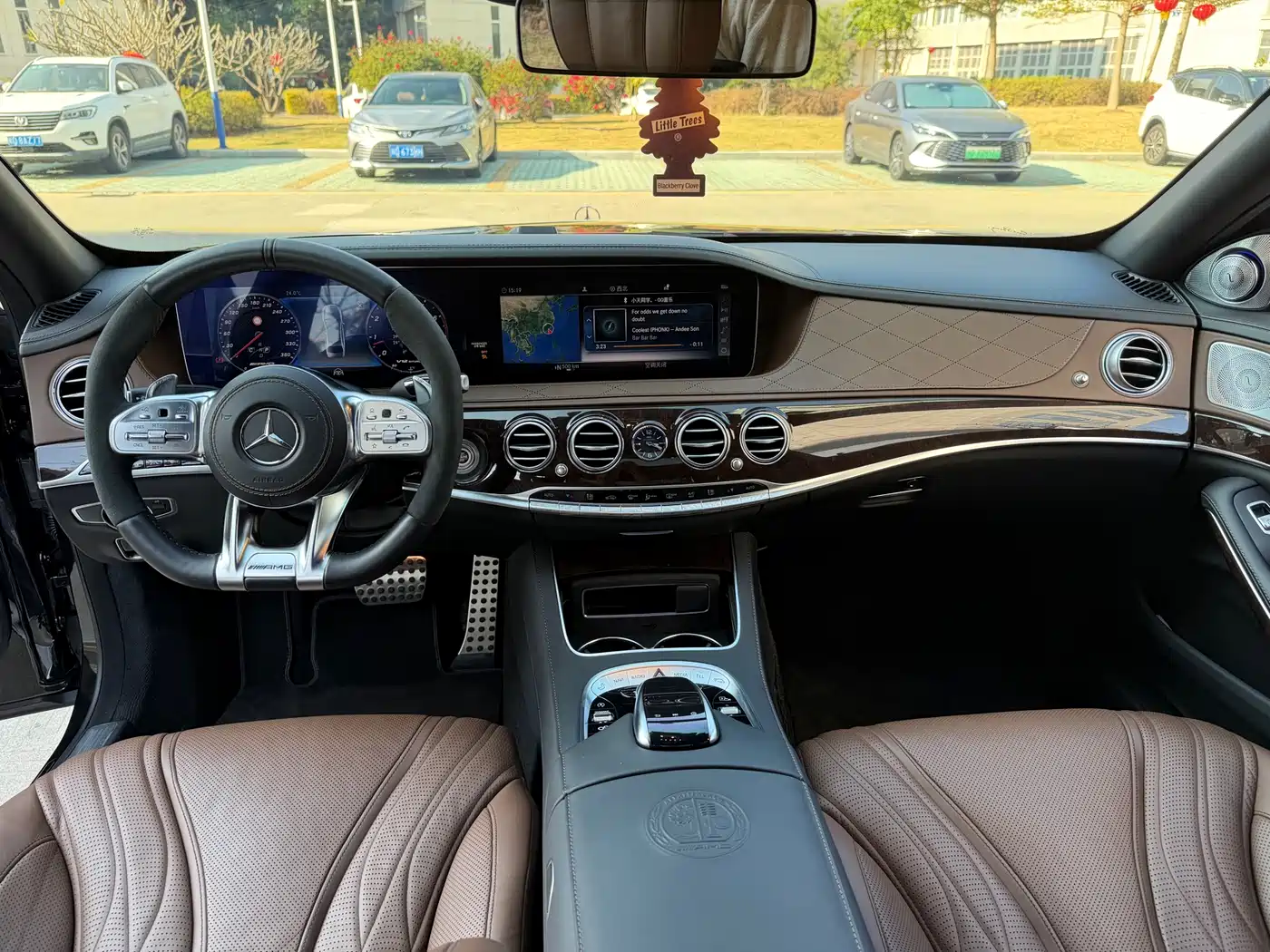 Mercedes-Benz S-Class AMG 2018 AMG S 65 L фото 13