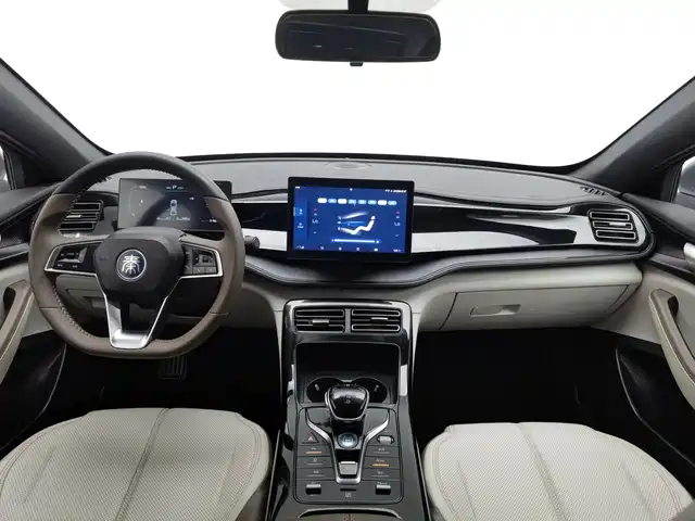 BYD Qin PLUS 2023 Champion Edition DM-i 55KM Leading — фото 5