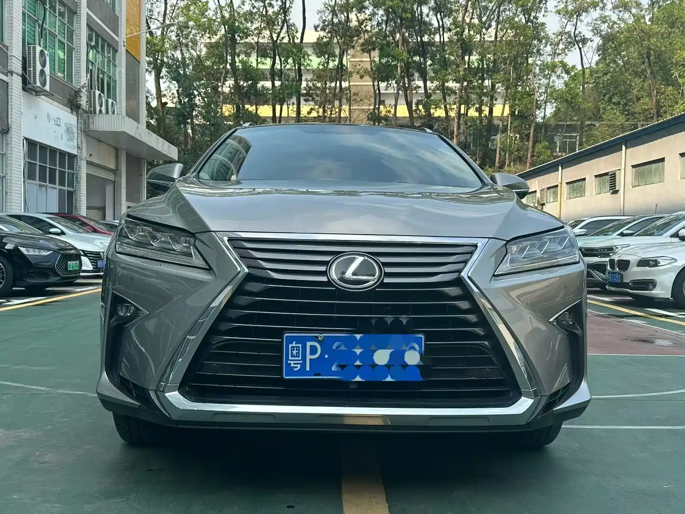 Lexus RX 2016 300 4WD Elegance Edition (China V) фото 3