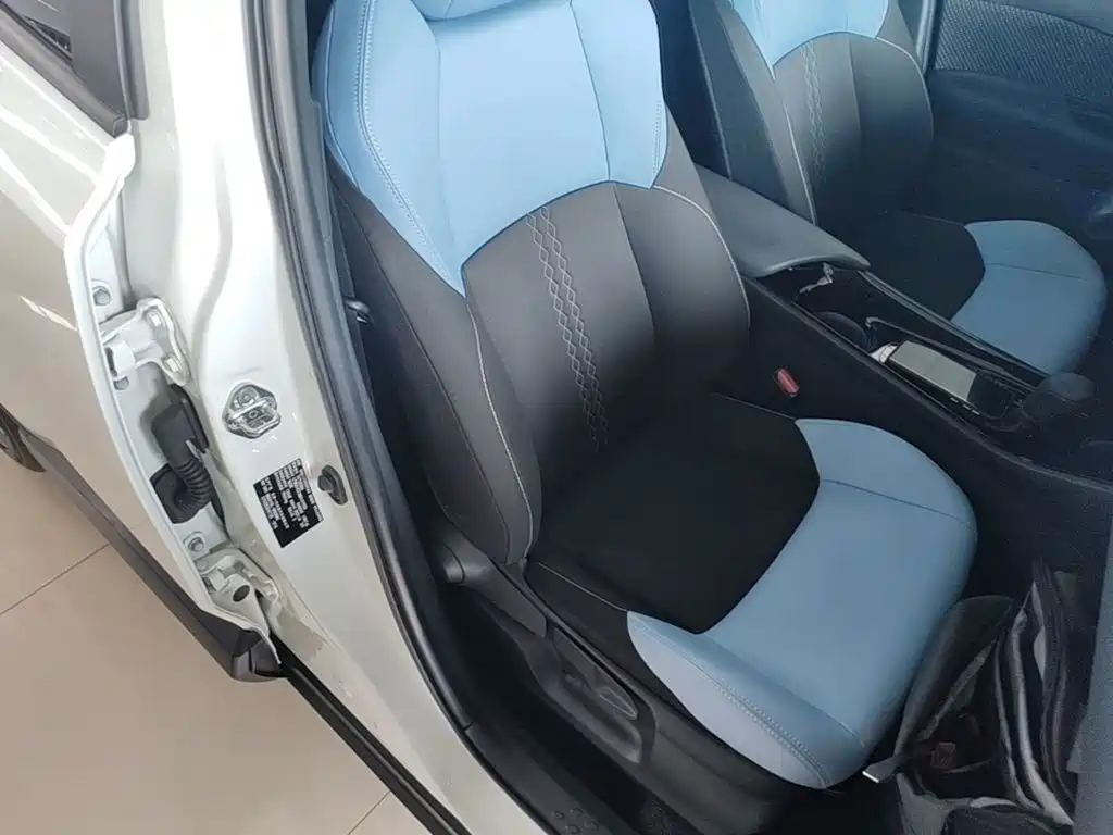 Toyota IZOA 2021 2021 2.0L Yixiang Edition