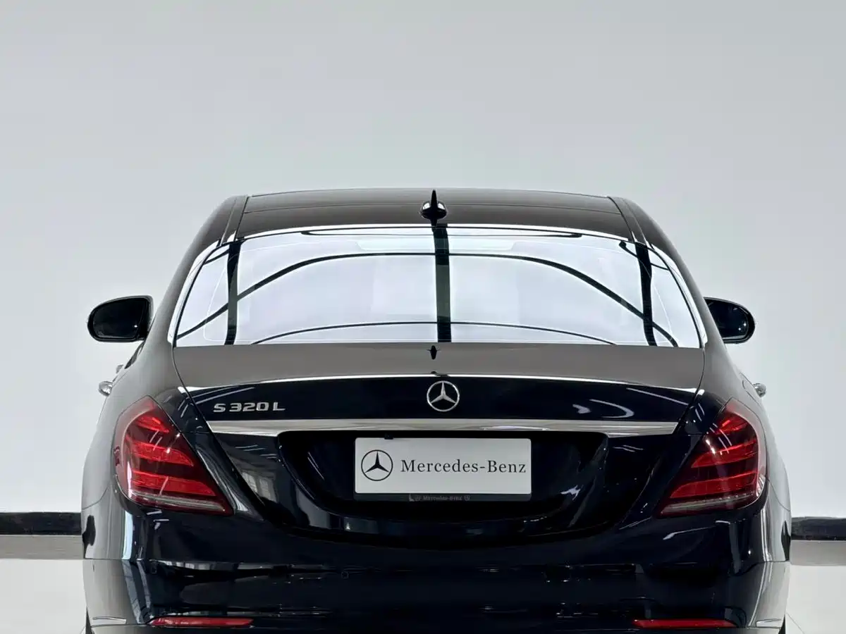 Mercedes-Benz S-Class 2018 S 320 L фото 11