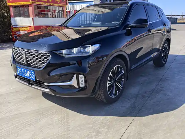 WEI PAI WEI BRAND VV6