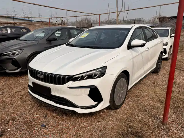 GEELY AUTOMOBILE BINRUI