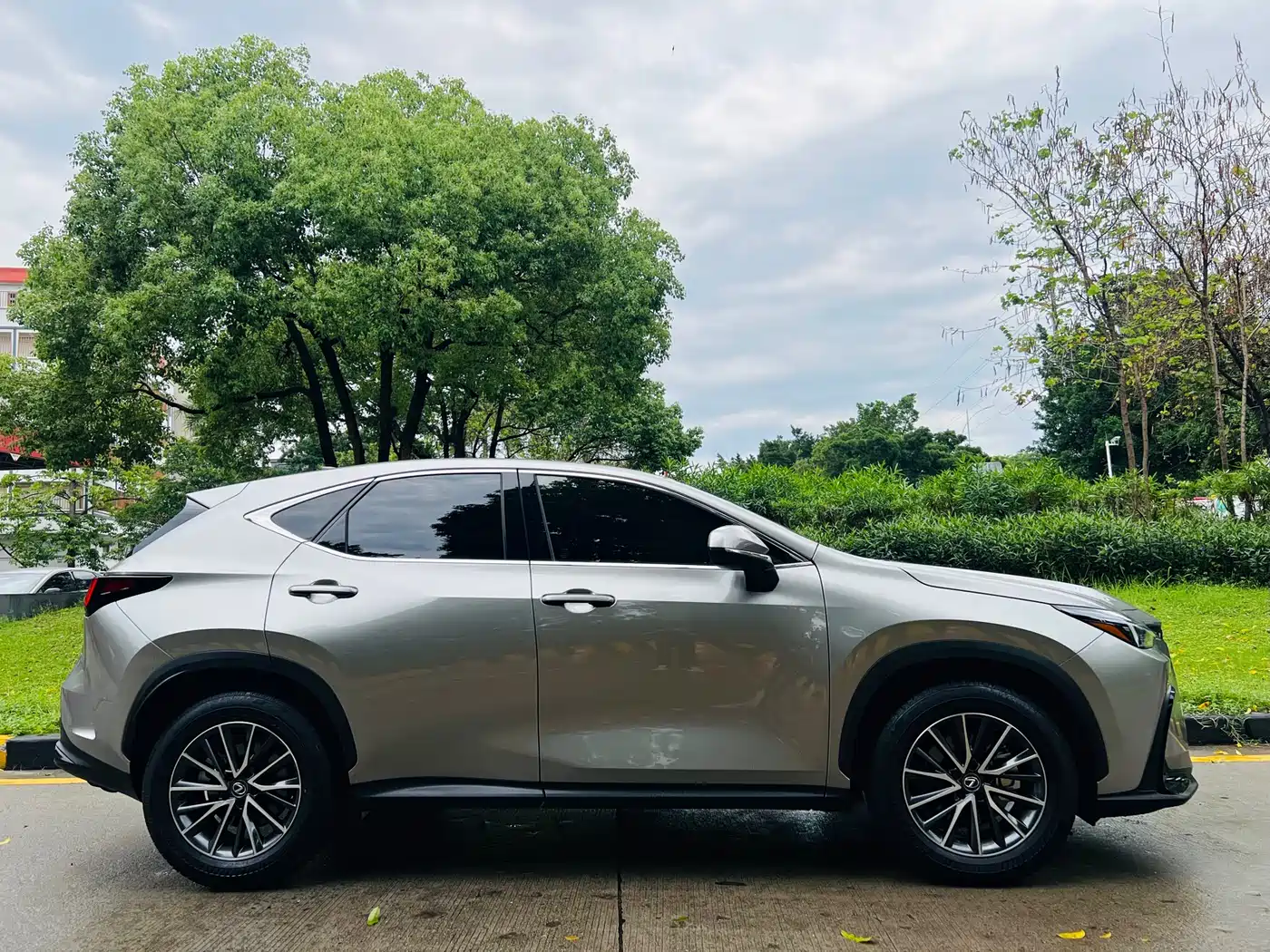 Lexus NX 2024 260 FWD Innovation Edition фото 8
