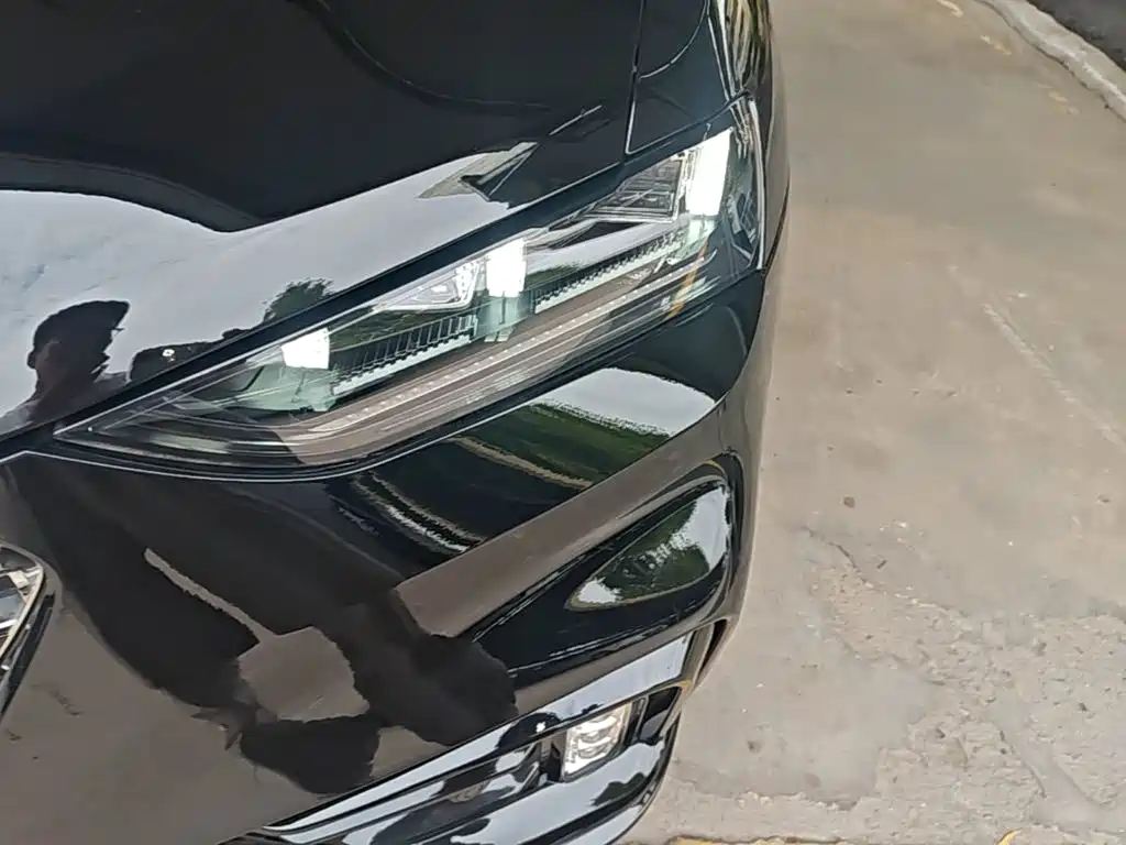 WEY VV7 2021 2020 Model 2.0T Flagship