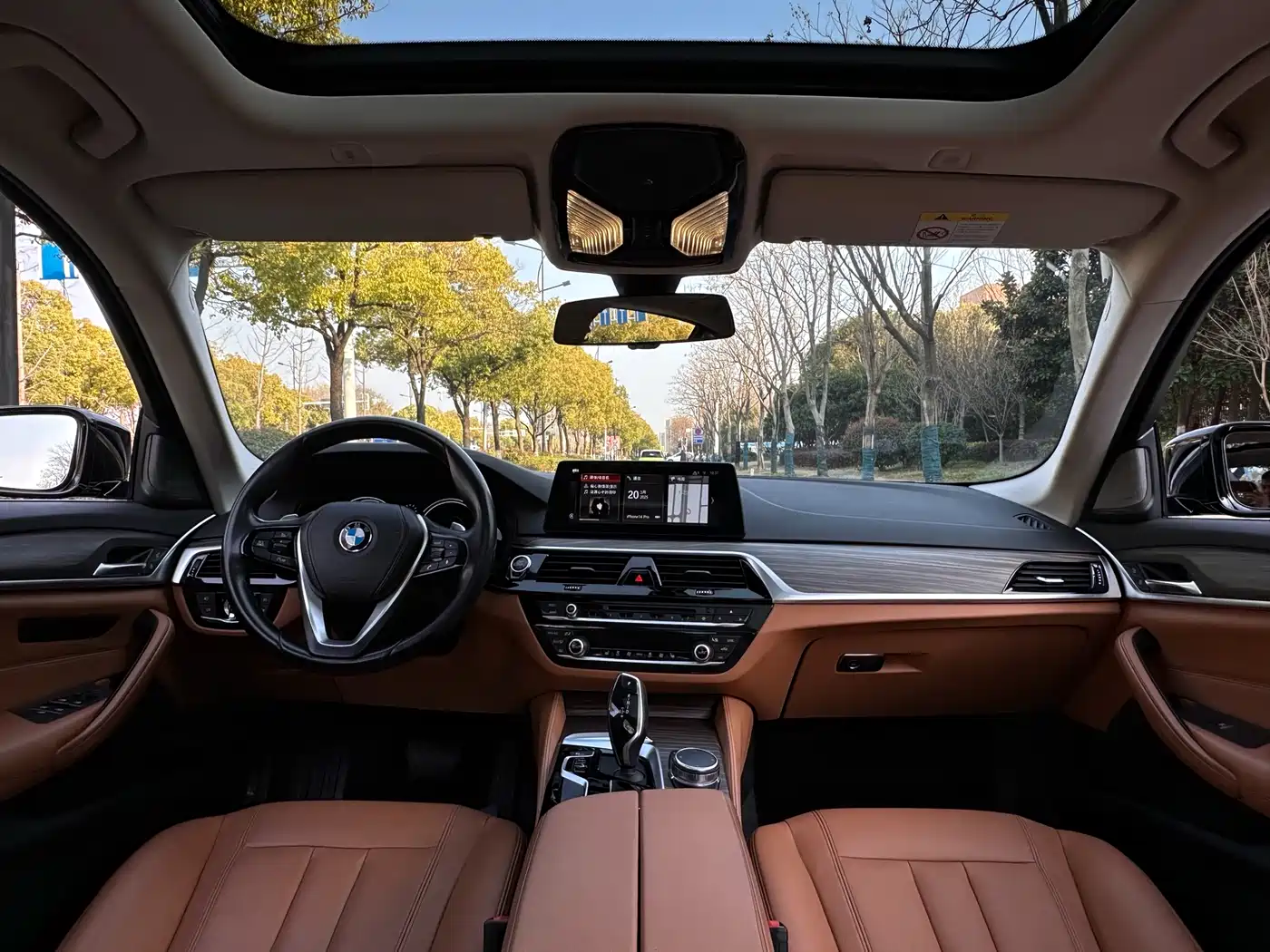 BMW 5 Series 2018 530Li xDrive Luxury Package фото 10