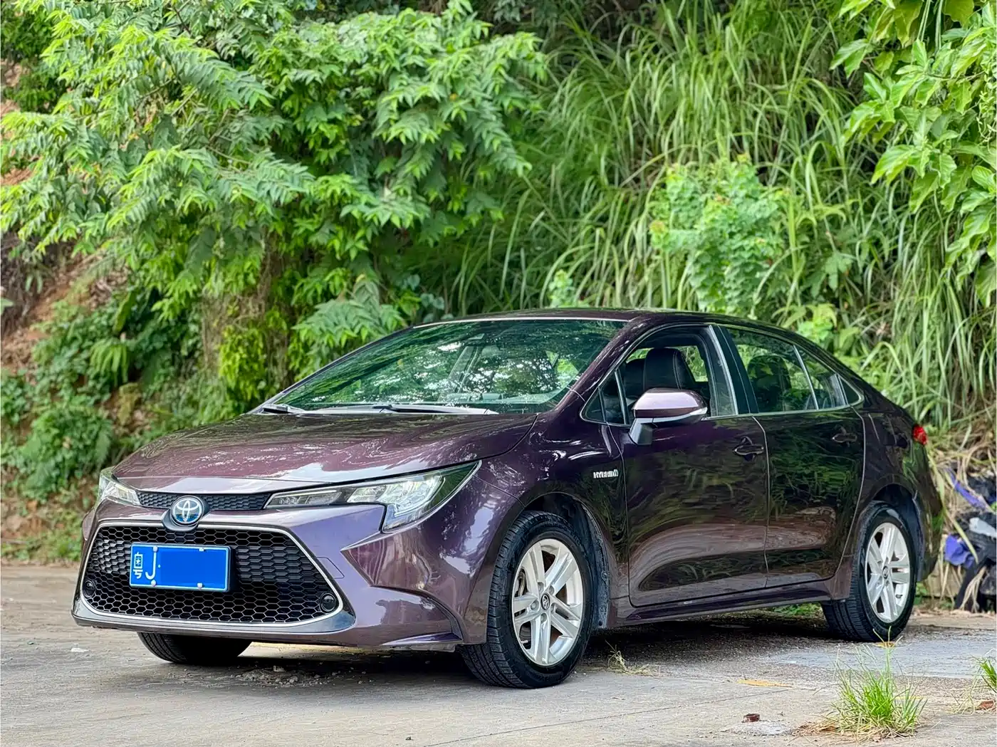 Toyota Levin 2019 — пригон из Китая
