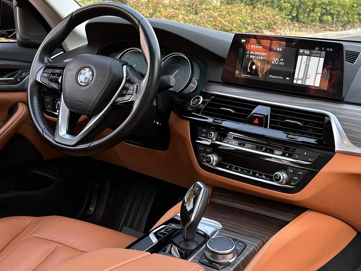 BMW 5 Series 2018 530Li xDrive Luxury Package фото 13