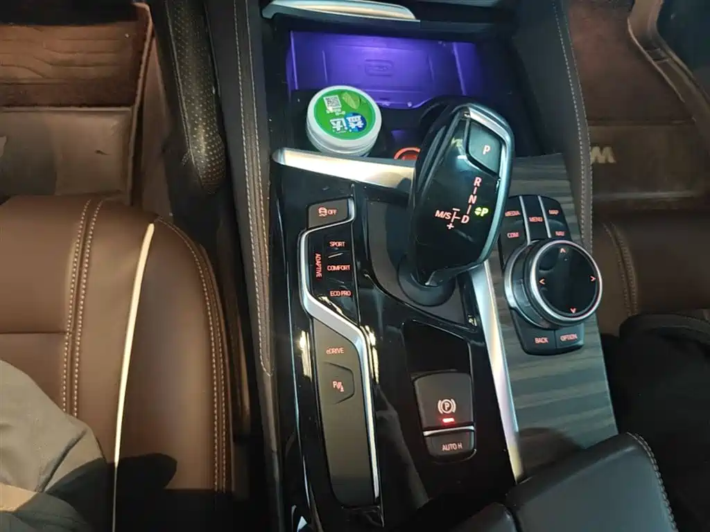 BMW 5 Series New Energy 2020 530Le Range Upgrade Luxury Package фото 14