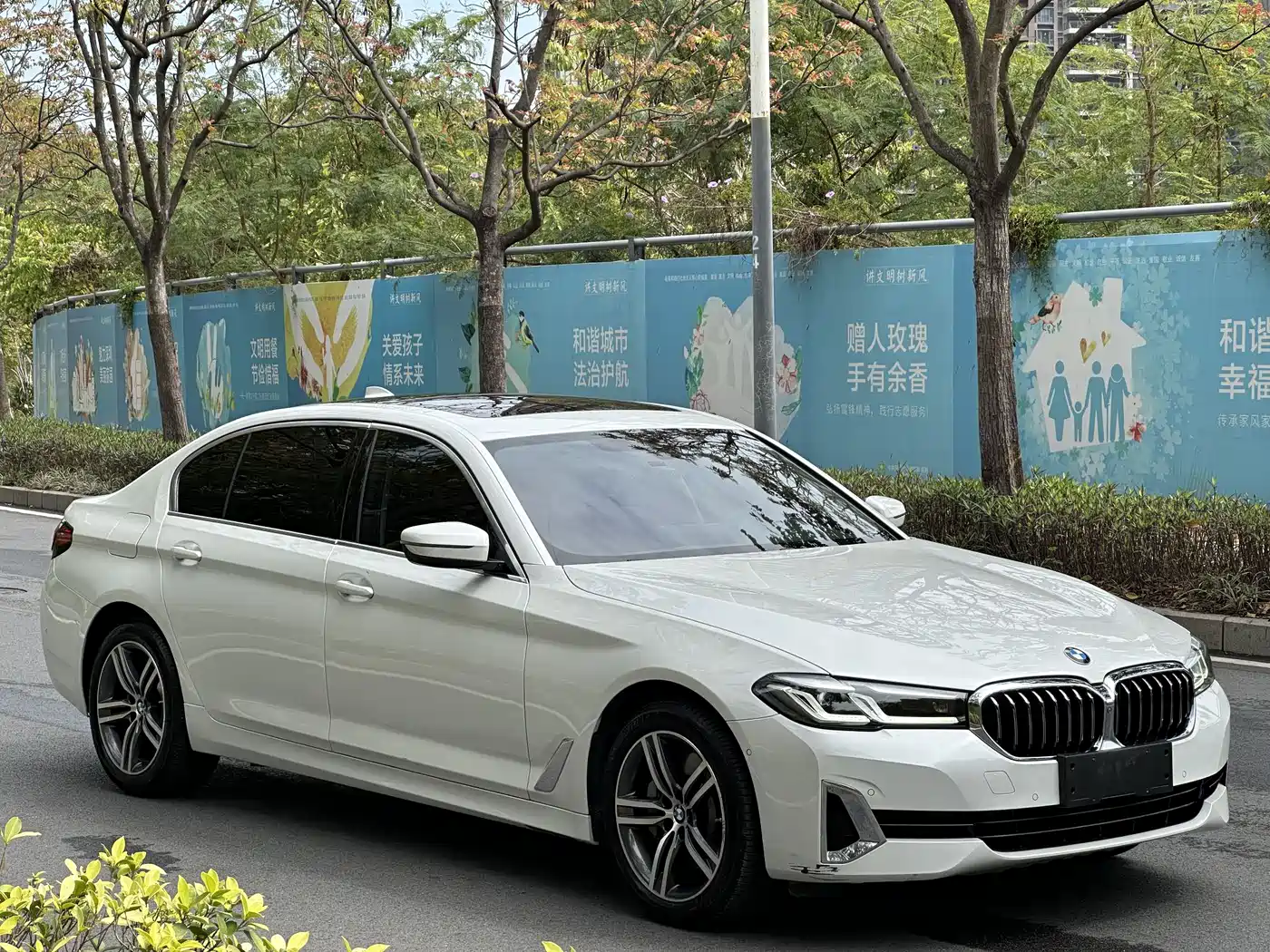 BMW 5 Series 2021 530Li Leading Luxury Package фото 9