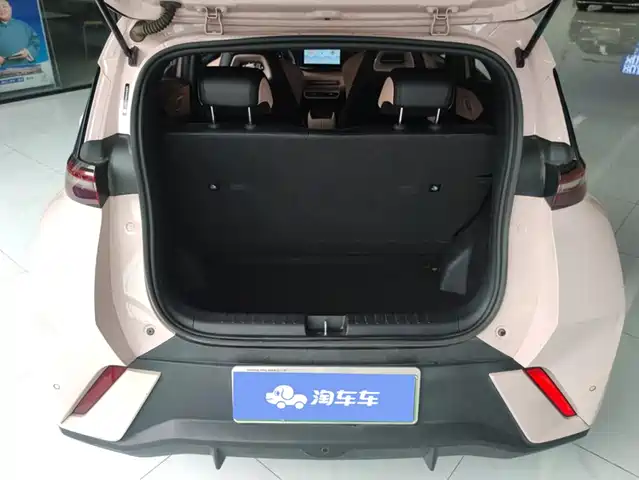 BYD Seagull 2024 Glory Edition 305km Vitality Edition — фото 4
