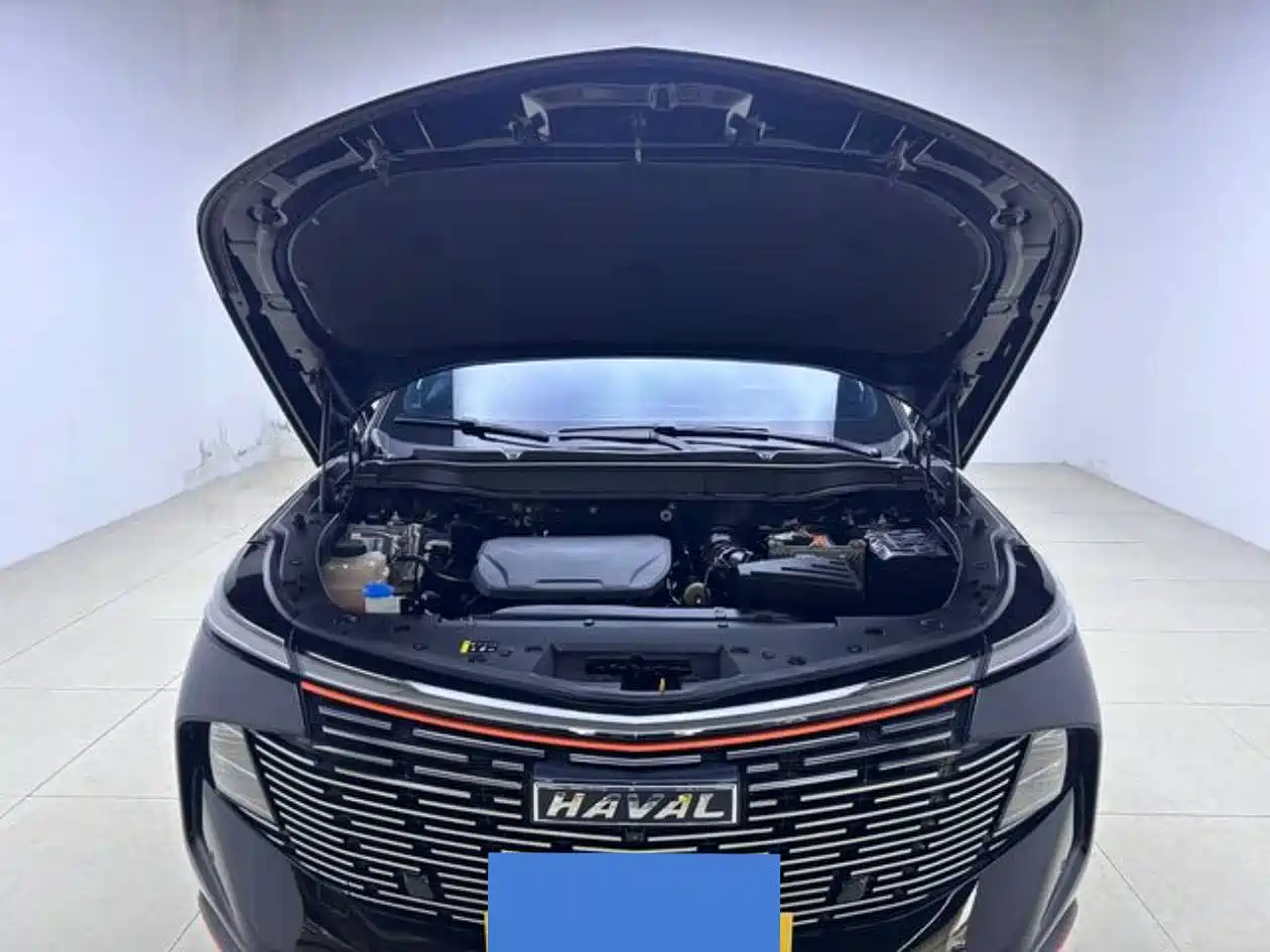 HAVAL DIVINE BEAST
