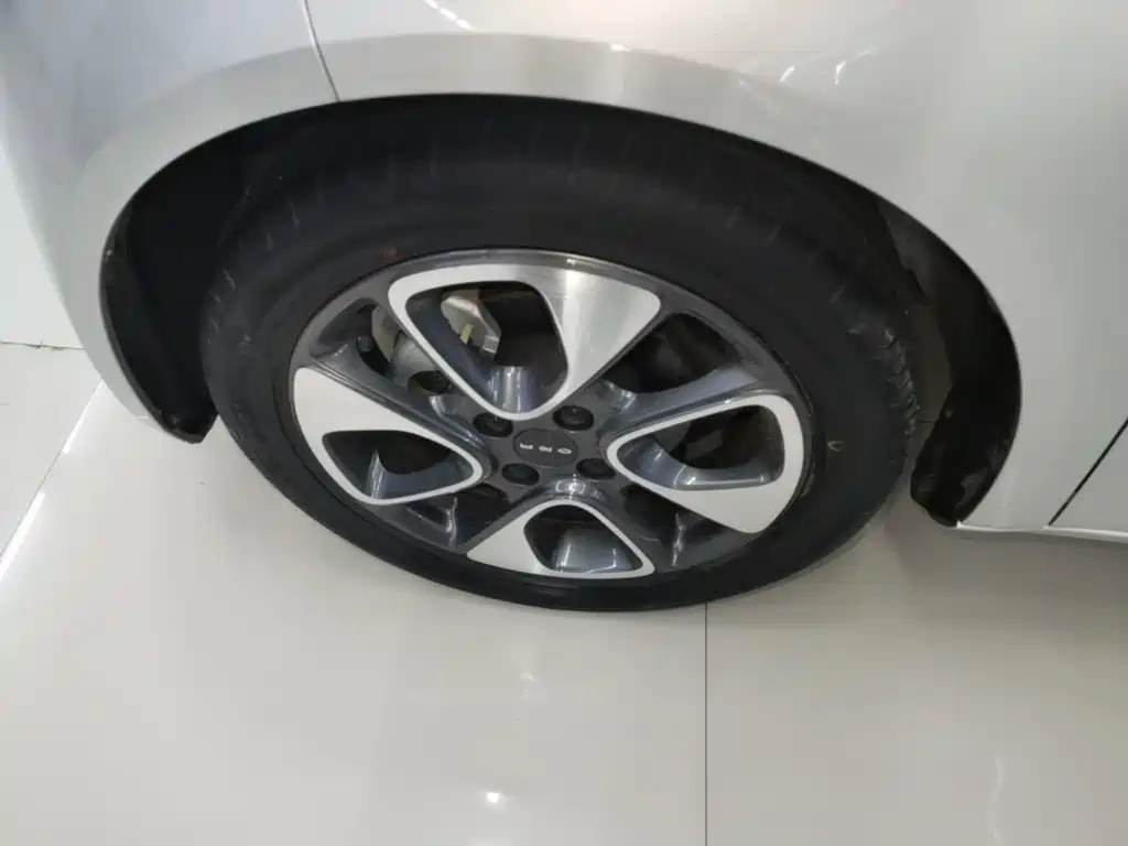 Ora White Cat 2021 2020 401km Flagship Model