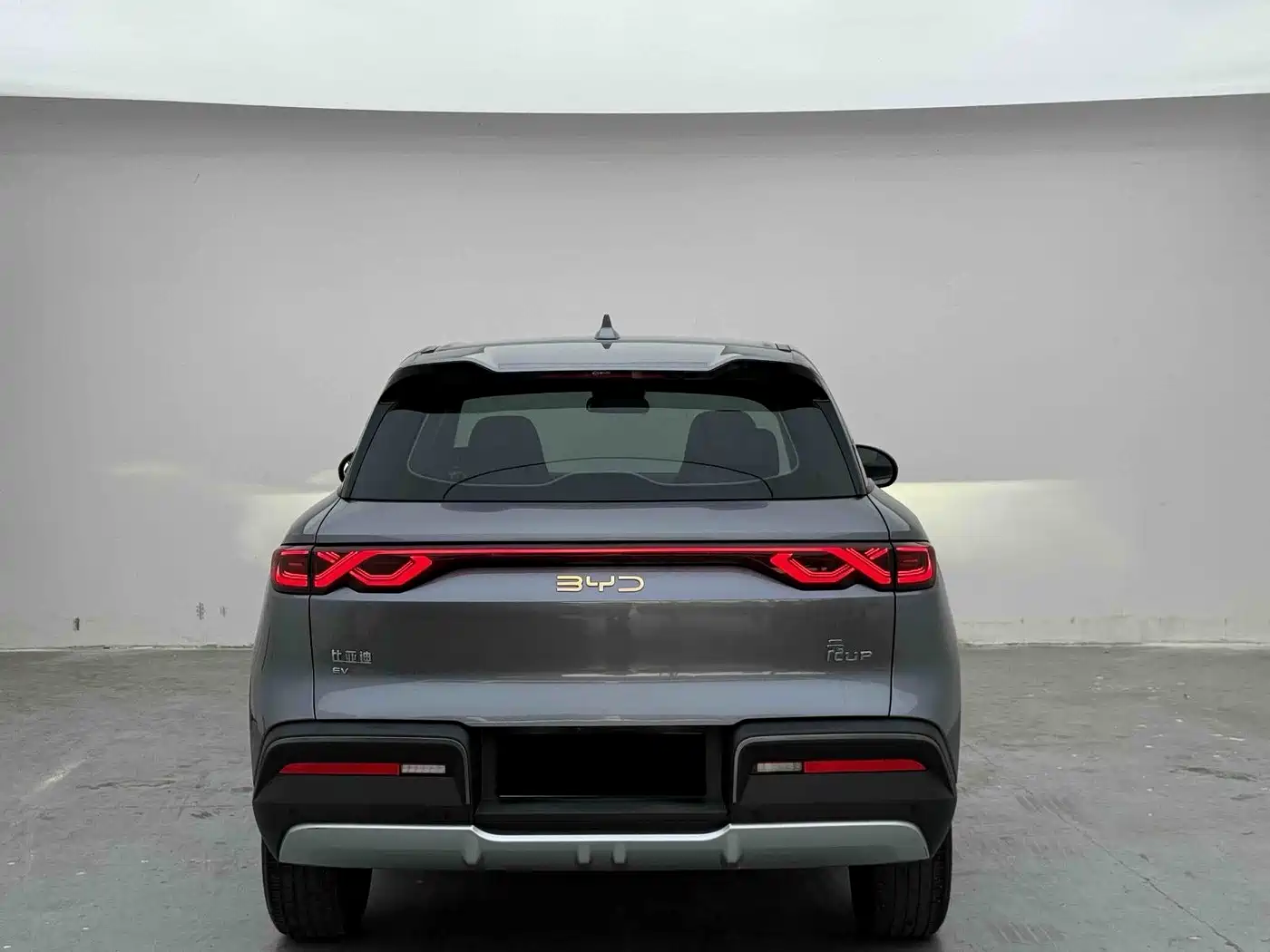 BYD Yuan UP 2024 2024 401KM Vitality Edition