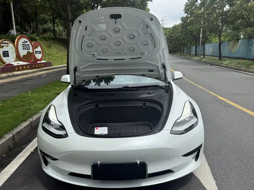 Tesla Model 3 2020 2020 Standard Range Rear-Wheel Drive Upgrade