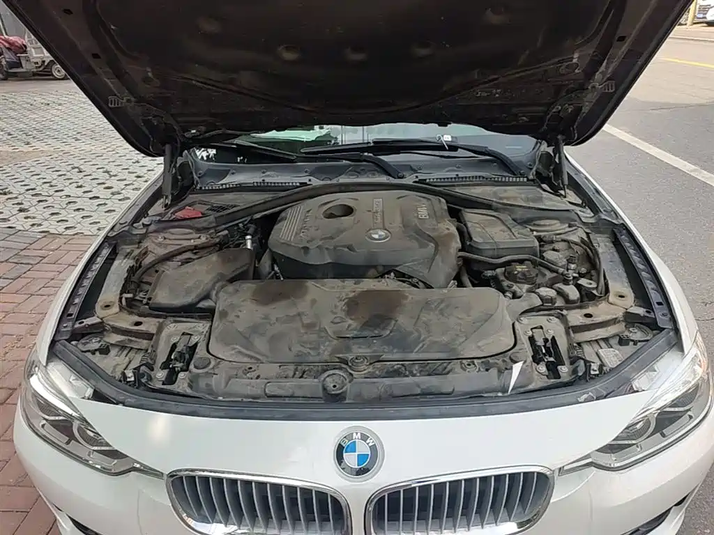 BMW 3 Series 2018 320Li xDrive Fashion Style фото 20